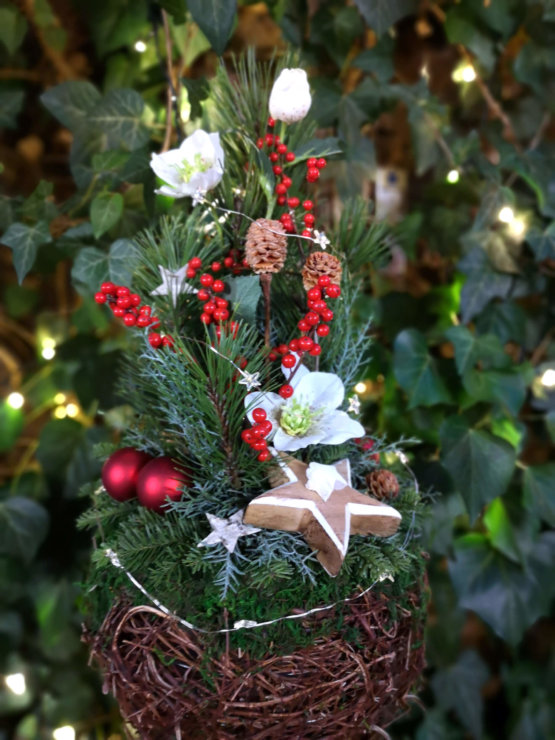 Adventsgesteck mit Ilex und Christrose